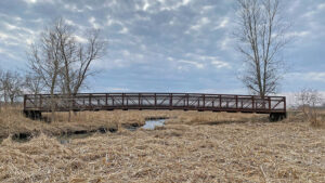 On the road to 100 years: How the Forest Preserve District expanded