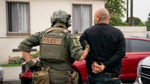 States weigh laws to circumvent ICE immunity; Illinois’ to be tested in court