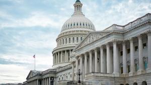 Winner of Swalwell’s seat points to broad support for her