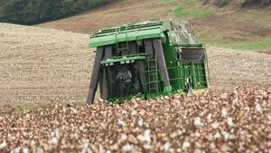 On National Farmers Day, farm bill stuck in limbo
